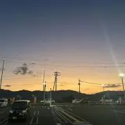 なまけものの画像