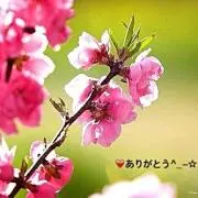etsuんち