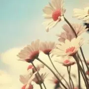 みかづき