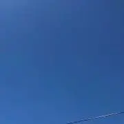 RUAの画像