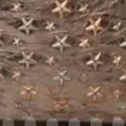 星の画像