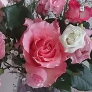 kamezou【プロフ見てね！】の画像