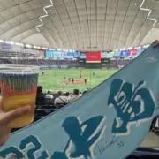 アキの画像