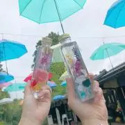 たんたん☆