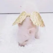 リン☆