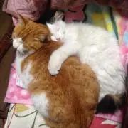 ウッチーの画像