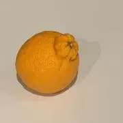 shioの画像