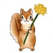 ＊shushu＊