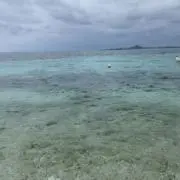 ユキモ