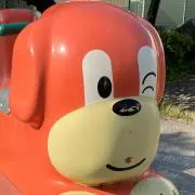 ザッキーの画像