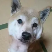 オクノ