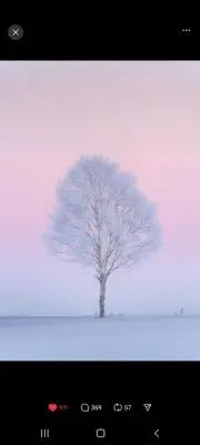 Nana.の画像