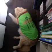 ミルの画像