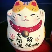 ゆきのこショップの画像