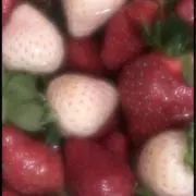 .の画像