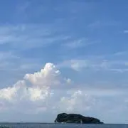 さー　プロフ必須の画像