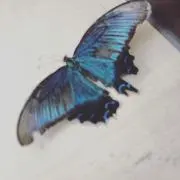 ラ