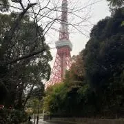 takkuの画像