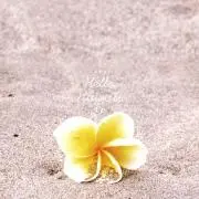 natsu