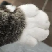 ikumiの画像