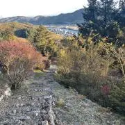 Kaiのオンラインマーケットの画像