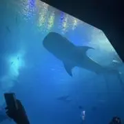 ^_^☆の画像