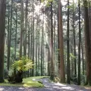 じゅんじゅんの画像