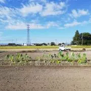 831おじさんの画像