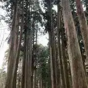 Rov様専用 回転量子水 回転水テラ水 生成器 H・R・S HRS - メルカリ