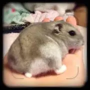 プロフィール必見！