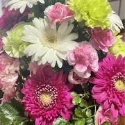 春夏秋冬 プロフ見てね⬇️の画像