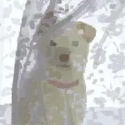 わんわん　発送日数注意お願いの画像
