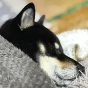 のばな❁の画像