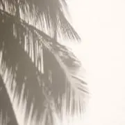 ☺︎の画像
