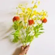 happily8の画像