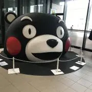 みーちゃんの画像