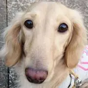 みのり ( ^-^)ノ∠※。.:*:・'