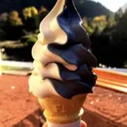 すずめの画像