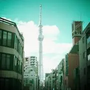 ぴぴぼーる