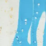 めかぶの画像