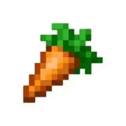 にんじんの画像
