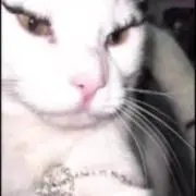 バーバラ