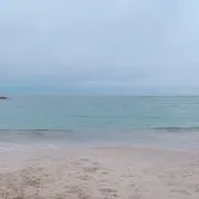 htnの赤字覚悟の画像