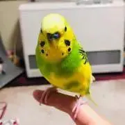 れん…必ずプロフご覧下さいm(_ _)mの画像