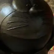 ちびたんの画像