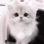 ❤︎の画像