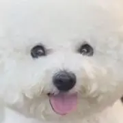 ^_ ̫_^の画像