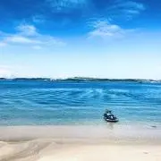 セナ