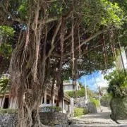 ゆじゃまるの画像