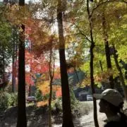 秋風の画像